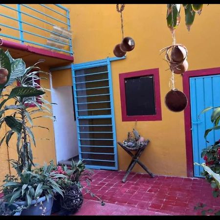 Casa Grey Hotel Oaxaca Exterior foto